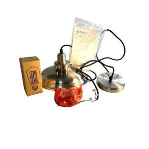 Wildsoul Lighting Pendant W20031 AC-1 SN-1 TG-1 Med Base New Without Box